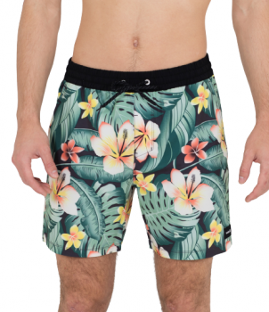 HURLEY PHTM CABANA VOLLEY 17 DB1679 H013 -  04-05-2021/16201257681617718759db1679_h013_03-removebg-preview.png