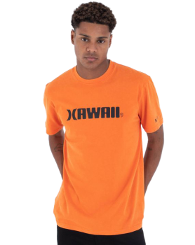 HURLEY M HAWAII SS TEE 800 MTSEUKL0007 -  27-05-2025/17483789771745588831mtseukl0007_800_00.png