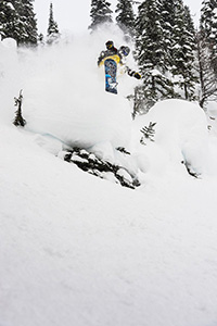 LIB TECH MARK LANDVIK PHOENIX SERIES 2014 -  7390_2.jpg