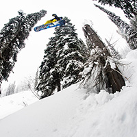LIB TECH MARK LANDVIK PHOENIX SERIES 2014 -  7390_3.jpg