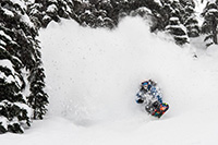 LIB TECH TRS: TOTAL RIPPER SERIES 2014 -  7399_4.jpg