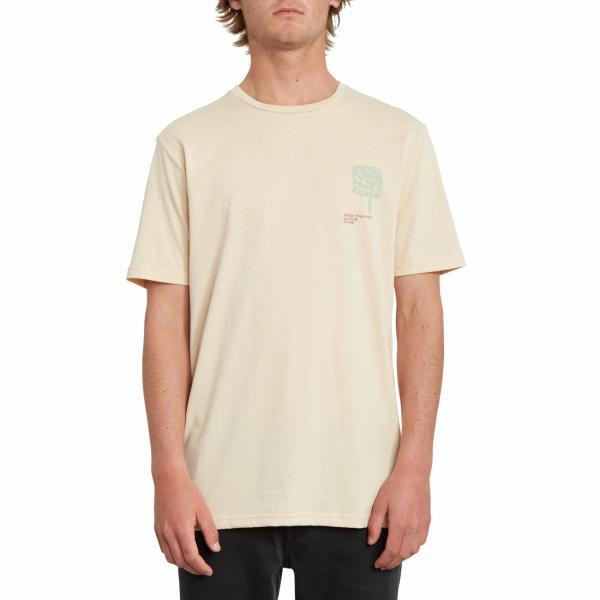 VOLCOM GROWN HTH SS whf  A5712054 -  01-03-2020/1583068924a5712054_whf_f.jpg