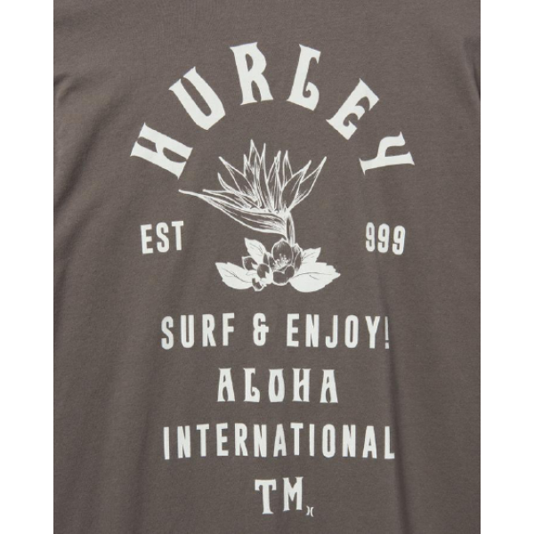 HURLEY M EVD WSH BIRD WORD SS DC7880G H058 -  01-12-2021/1638369782333-removebg-preview.png