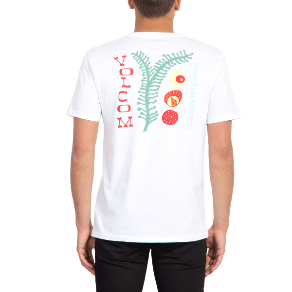 VOLCOM NATURAL FUN SS TEE wht A5211957 -  04-03-2019/1551716668lamx49la.png