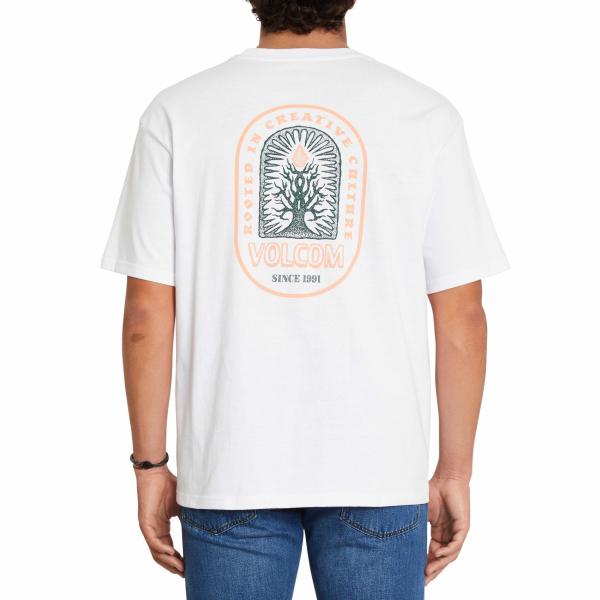 VOLCOM ROOTSY LSE SS A4312108 wht -  09-04-2021/1617978996a4312108_wht_b_optimized.jpg