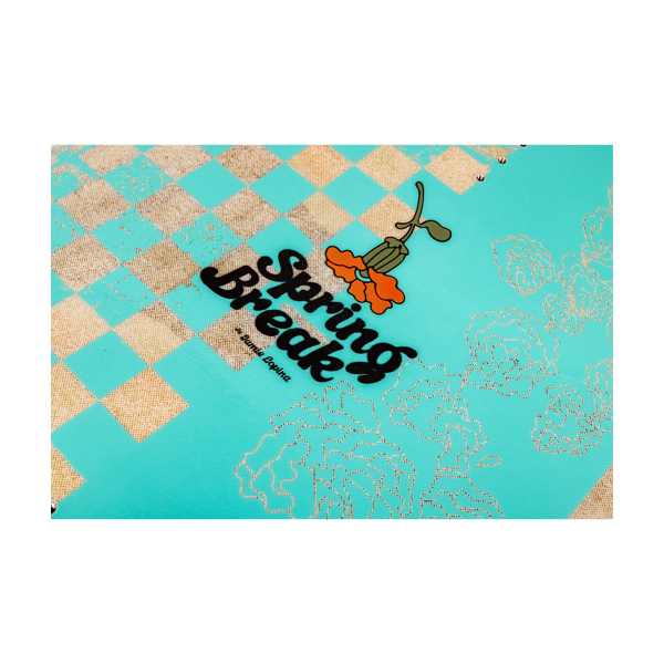 RONIX SPRING BREAK TRUE FLEX 26_27 -  09-09-2025/1757428867ronix-park---spring-break---2026---inset-5.png