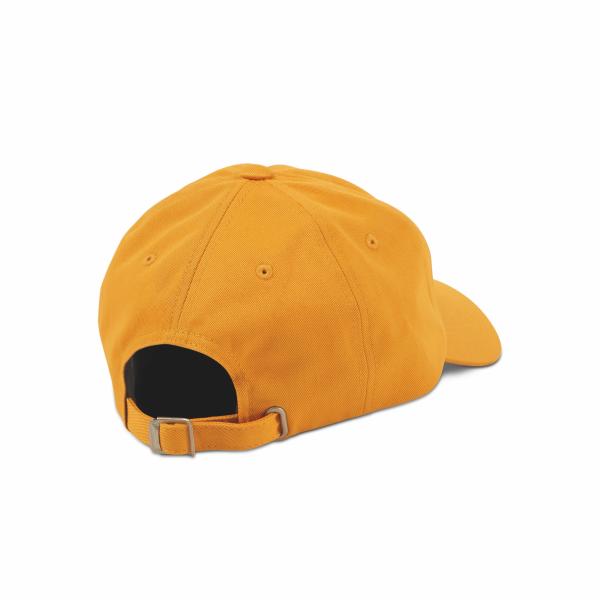 VOLCOM STONE WONDER DAD HAT vgd E5522002 -  16-09-2021/1631804730fgukewfx.jpeg