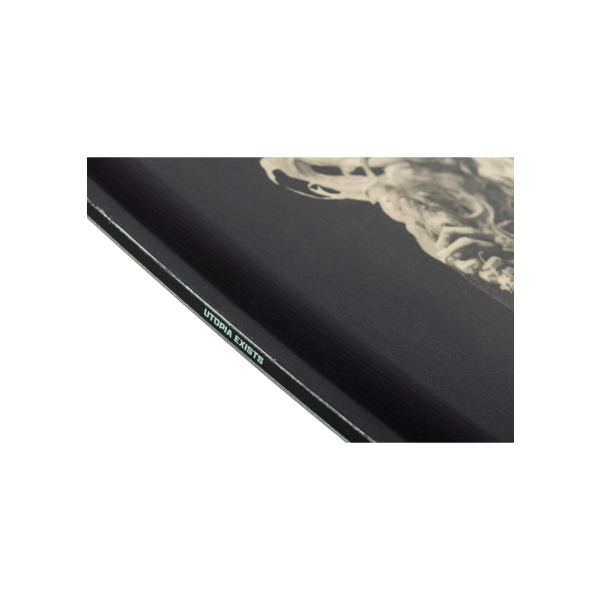 RONIX UTOPIA VARIABLE FLEX 25_26 BLEM -  26-08-2025/17562395581740839142667edbe1231dc.png