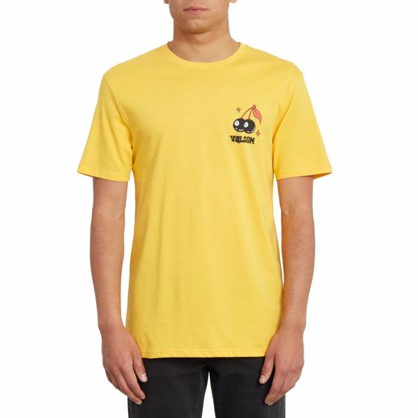 VOLCOM NATURE KNOWS BSC SS cit A3512067 -  29-02-2020/1582992220a3512067_cit_f.jpg