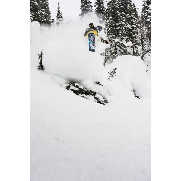 LIB TECH MARK LANDVIK PHOENIX SERIES 2014 -  7390_2.jpg