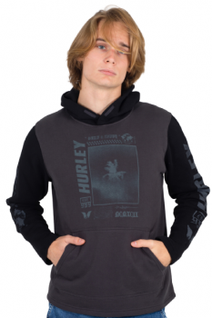 HURLEY M PALM TRIP PULLOVER CZ7895 H079 -  03-05-2021/16200409221617614141cz7895_h079_02-removebg-preview.png