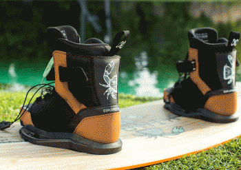 RONIX DIPLOMAT EXP INT 25_26 -  04-06-2025/174907043262f5e521a2c7d.gif
