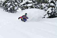 LIB TECH Phoenix Mark Landvik 2013 -  5800_2.jpg