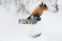 LIB TECH TRAVIS RICE PRO HORSEPOWER 2015 -  9457_2.jpg