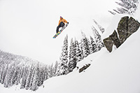 LIB TECH TRAVIS RICE PRO HORSEPOWER 2015 -  9457_3.jpg