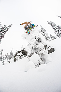 LIB TECH TRAVIS RICE PRO HORSEPOWER 2015 -  9457_4.jpg